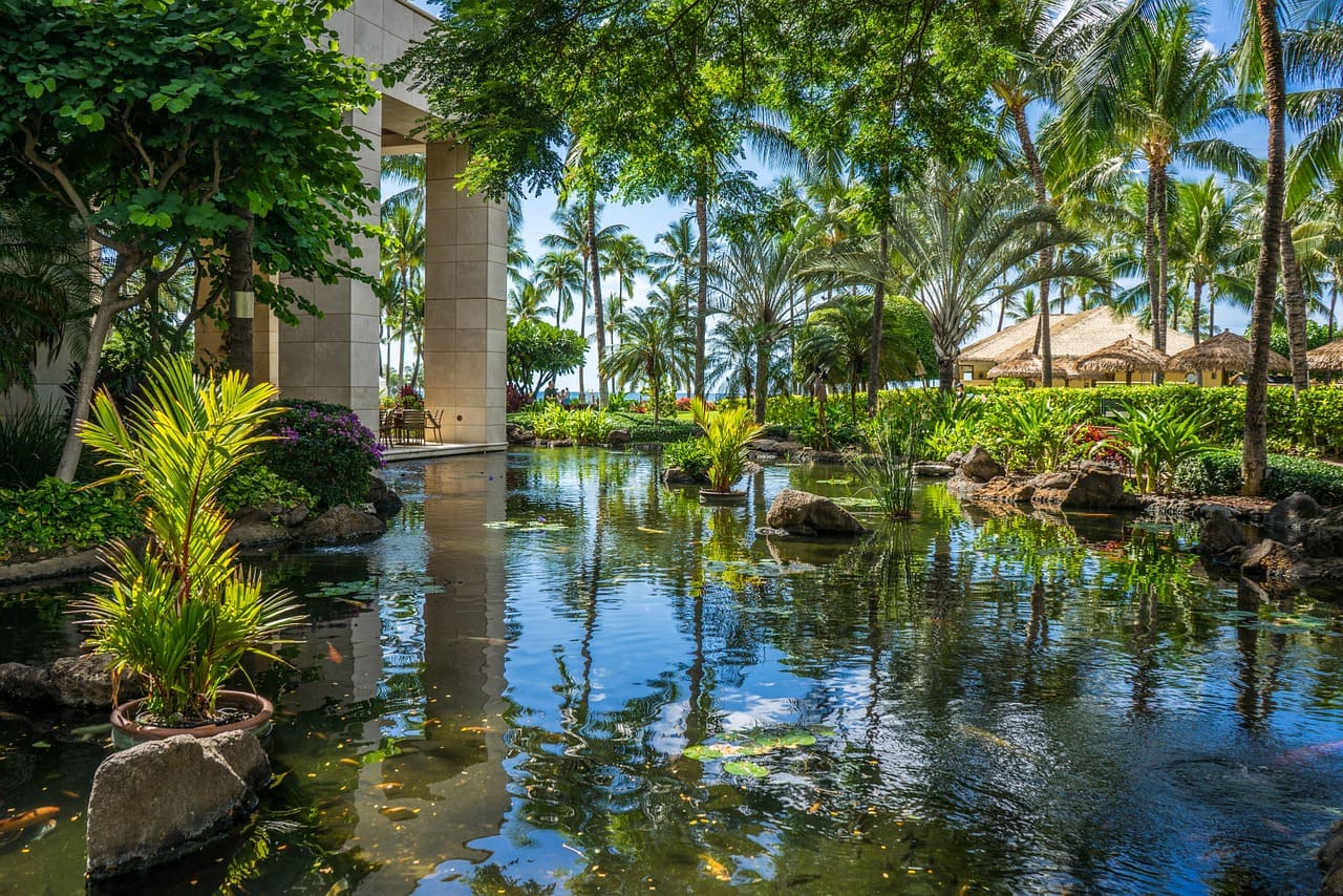 Piscine écologique, bassin au naturel