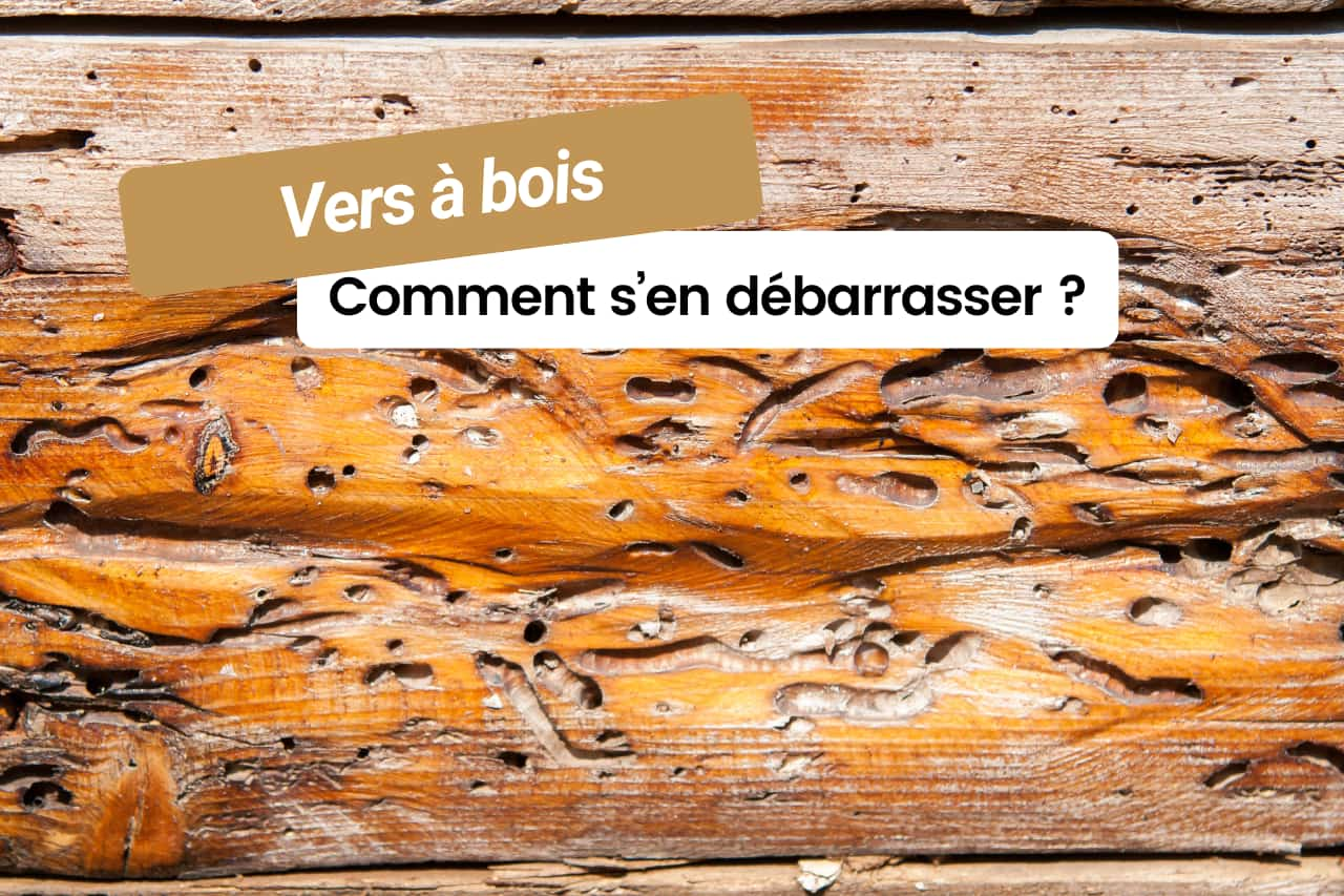 vers-a-bois