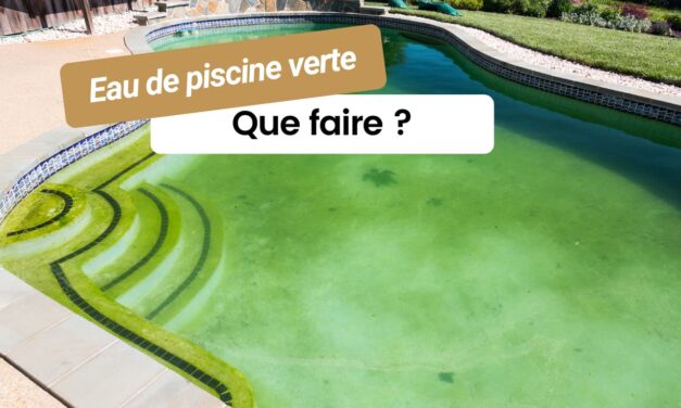 Eau verte dans la piscine : causes, traitements et prévention