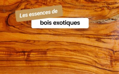 Tout savoir sur les essences de bois exotiques