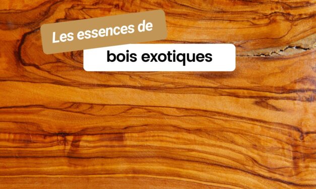 Tout savoir sur les essences de bois exotiques