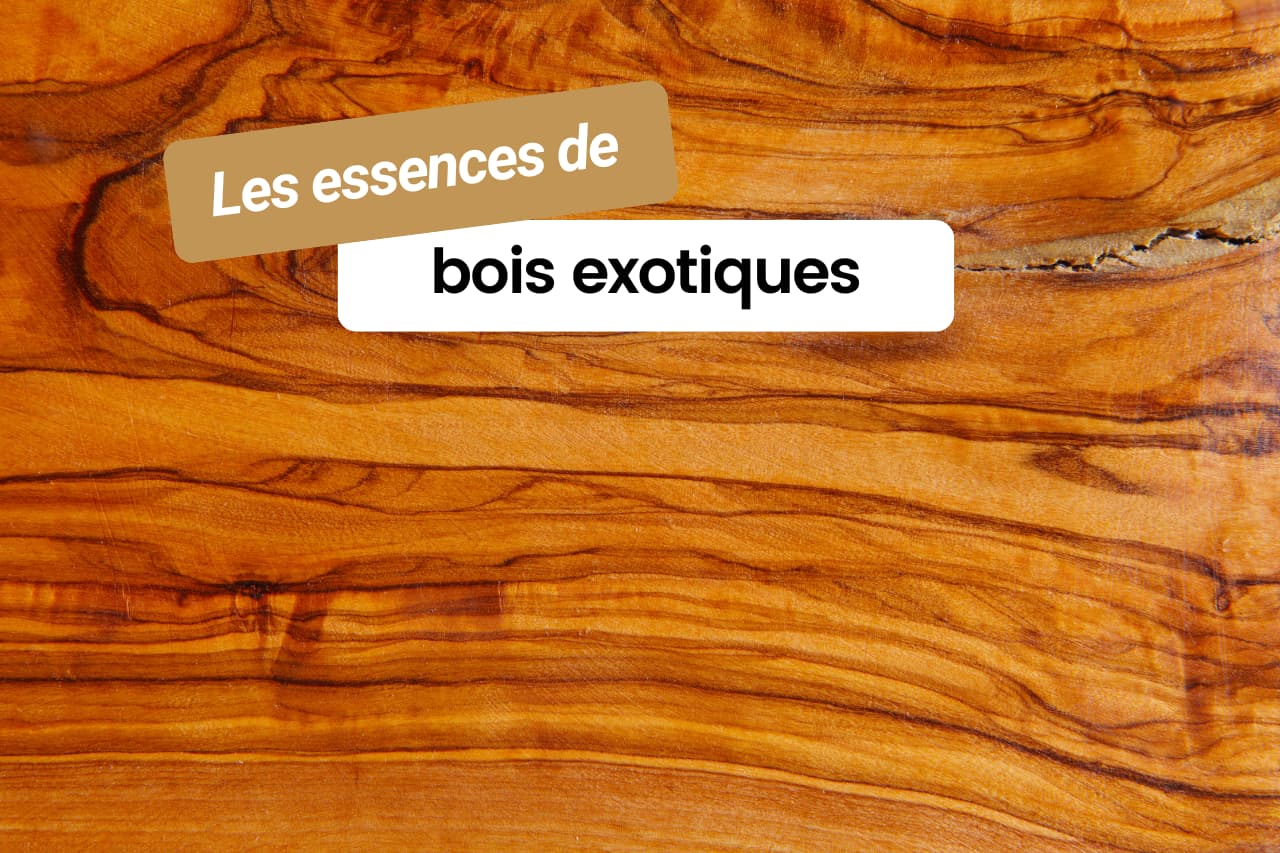 Les essences de bois exotiques