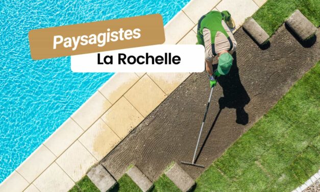 Les meilleurs paysagistes à La Rochelle pour sublimer vos jardins
