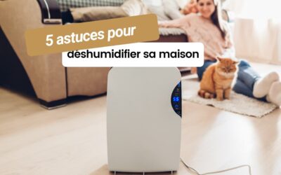 5 astuces pour déshumidifier sa maison