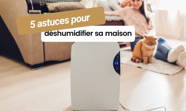 5 astuces pour déshumidifier sa maison