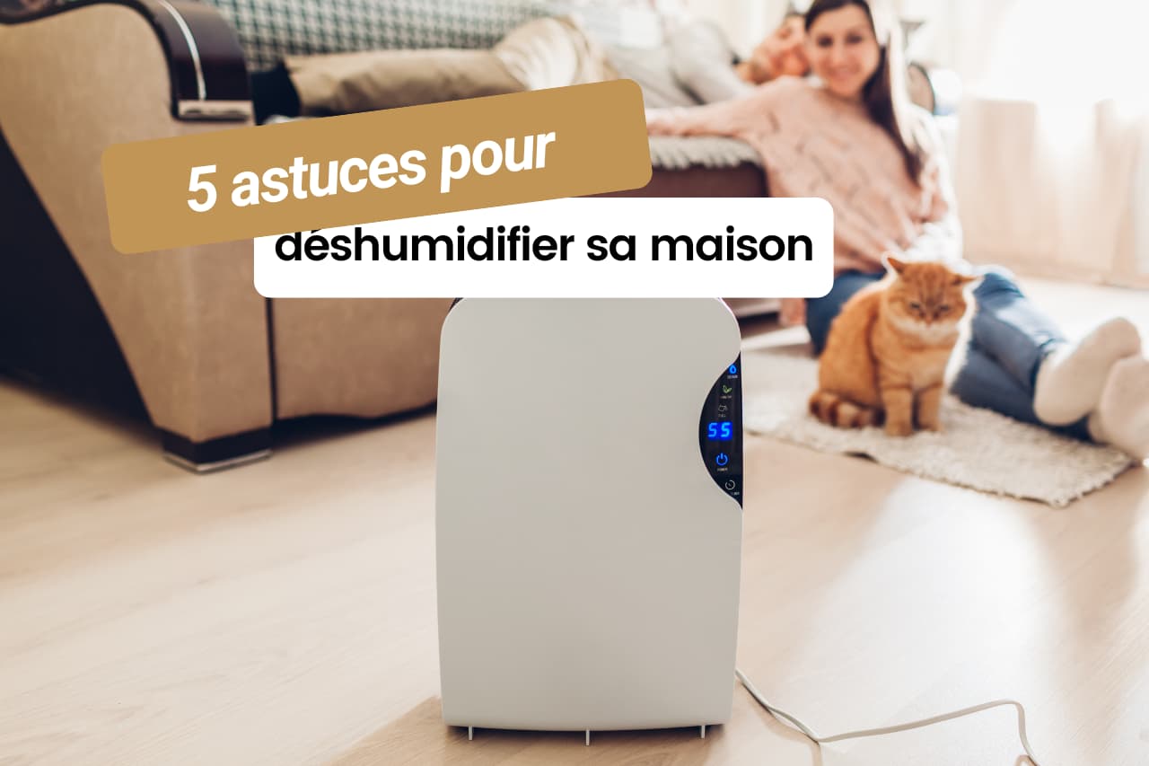 astuces pour déshumidifier sa maison
