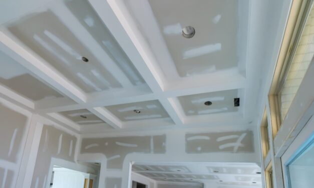 Les différents types de plafonds en rénovation : lequel choisir pour son logement ?