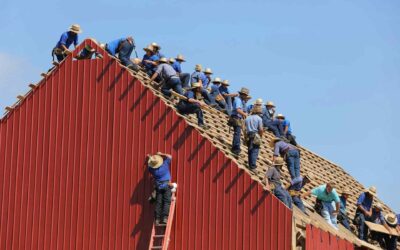 Rénovation par étapes : dans quel ordre faire intervenir ses artisans ?